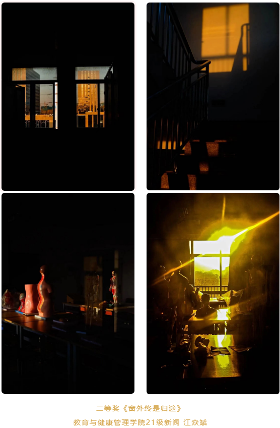 二等奖《窗外终是归途》